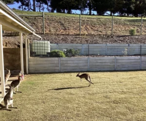 Gallery 22 Australian Made Concrete Sleepers Using The Marina Smooth Concrete Sleepers in Charcoal by Sunset Sleepers